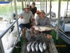 (09/01/2018) - Nice Striped Bass